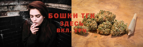 ГАЛЛЮЦИНОГЕННЫЕ ГРИБЫ Аркадак