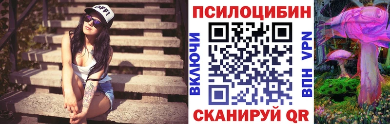 закладка  Пятигорск  Галлюциногенные грибы Magic Shrooms 