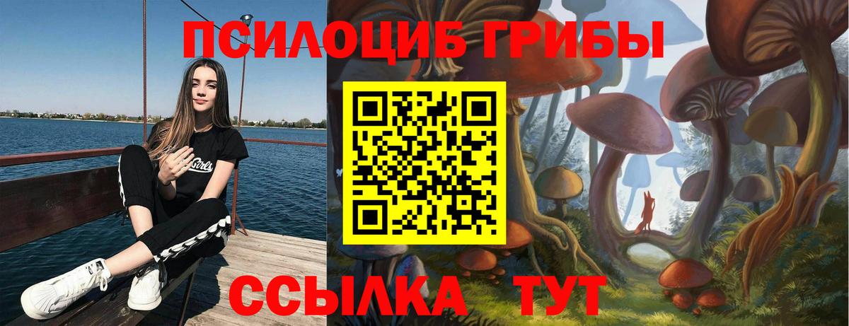 Псилоцибиновые грибы ЛСД Пятигорск